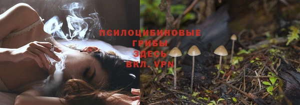 мет Медвежьегорск