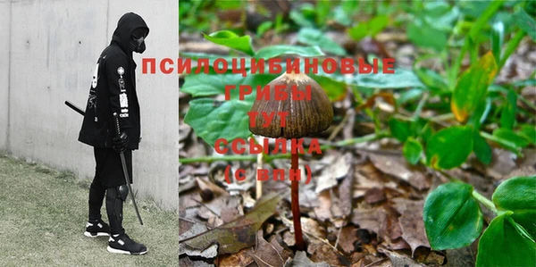 альфа пвп Михайловск
