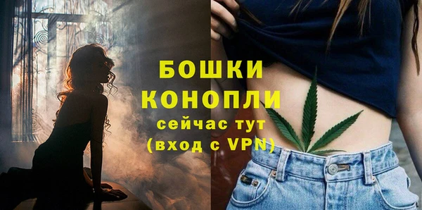 бошки Мегион
