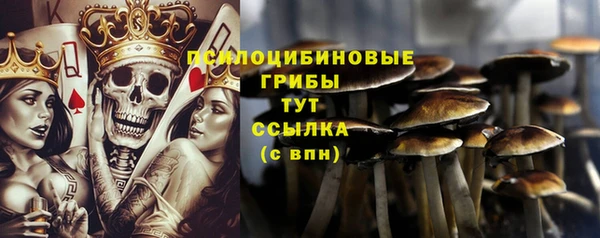 гидропоника Михайловка