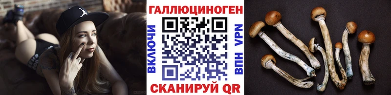 цена   Хадыженск  Галлюциногенные грибы MAGIC MUSHROOMS 